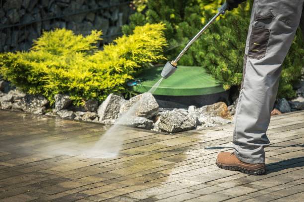 Best Factory Floor Cleaning  in Holtville, AL