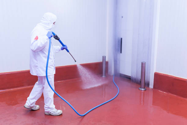 Best Concrete Sealing  in Holtville, AL
